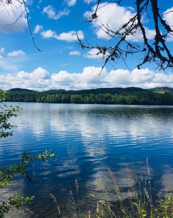 Bilde: Velkommen til årsmøte 4.mars